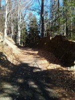 /album/historicky-unikat-bobova-draha-v-tanvalde/a12-jpg/