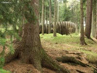 /album/torzo-libereckej-drahy/liberec-bobova-draha12-jpg/