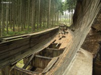 /album/torzo-libereckej-drahy/liberec-bobova-draha20-jpg/