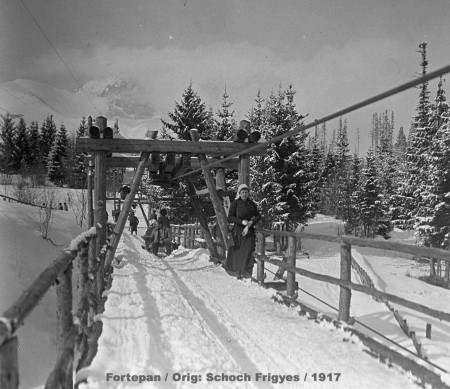 Unikátny vlek pre sane